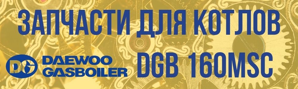 Купить запчасти для котлов Daewoo DGB 160MSC в Барнауле